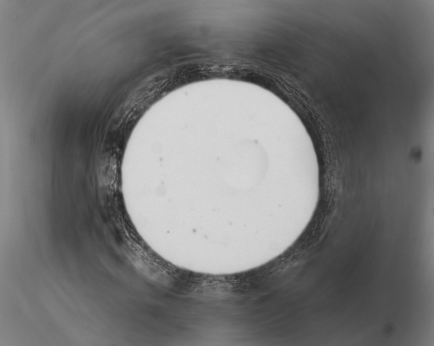 X0000116050820200912111502