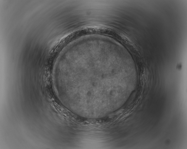 X0000116050822200912111502