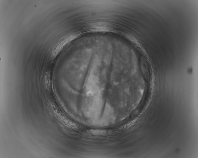 X0000116050825200912111502