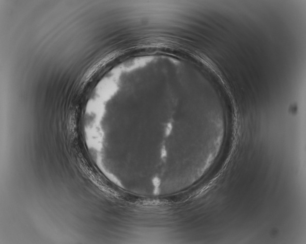 X0000116050826200912111502