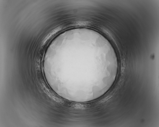 X0000116050827200912111502