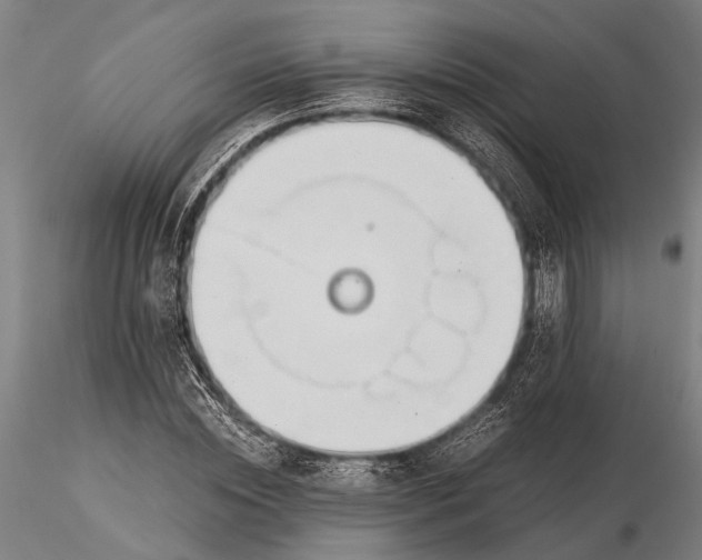 X0000116050828200912111502