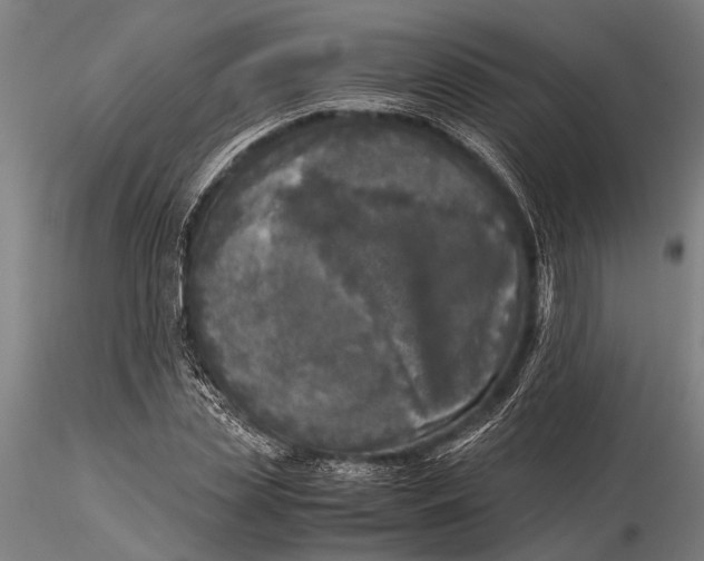 X0000116050829200912111502