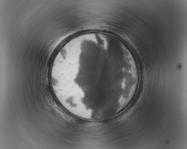 X0000116050830200912111502