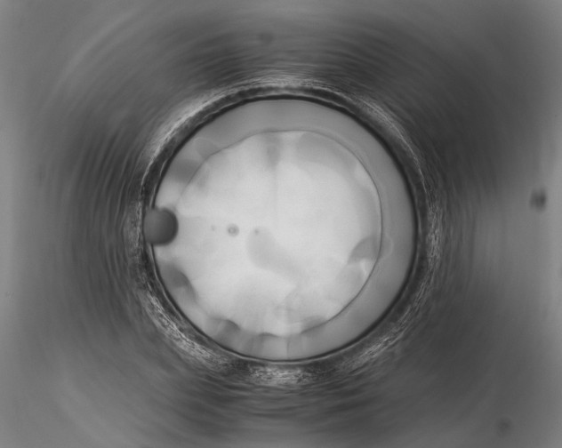 X0000116050831200912111502