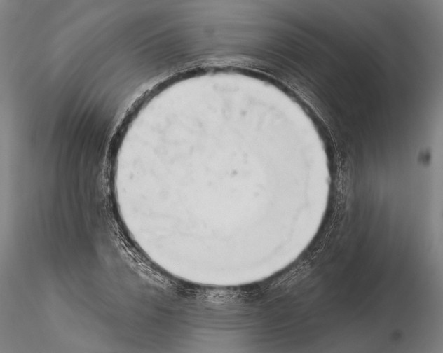 X0000116050832200912111502