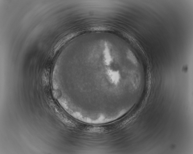 X0000116050833200912111502