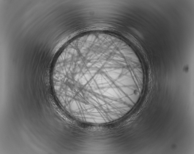 X0000116050834200912111502