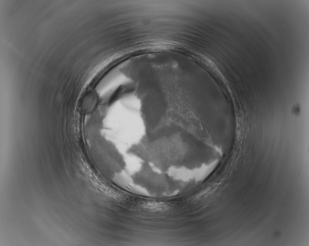 X0000116050835200912111502