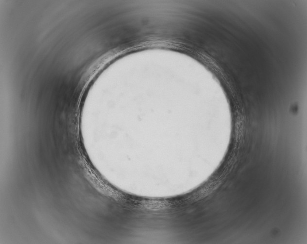 X0000116050836200912111502