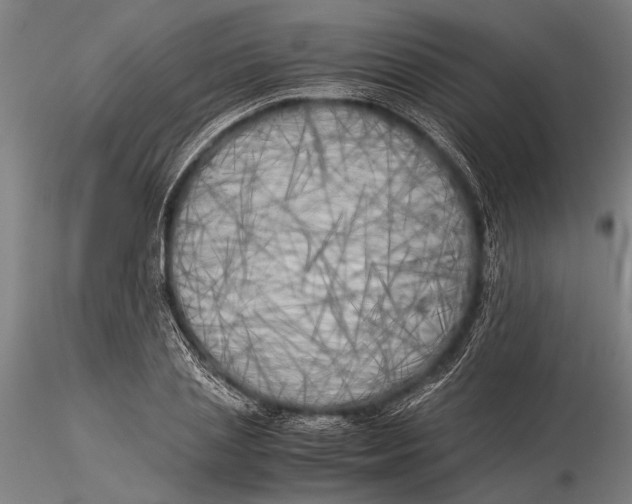 X0000116050837200912111502