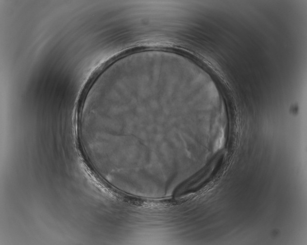 X0000116050840200912111502