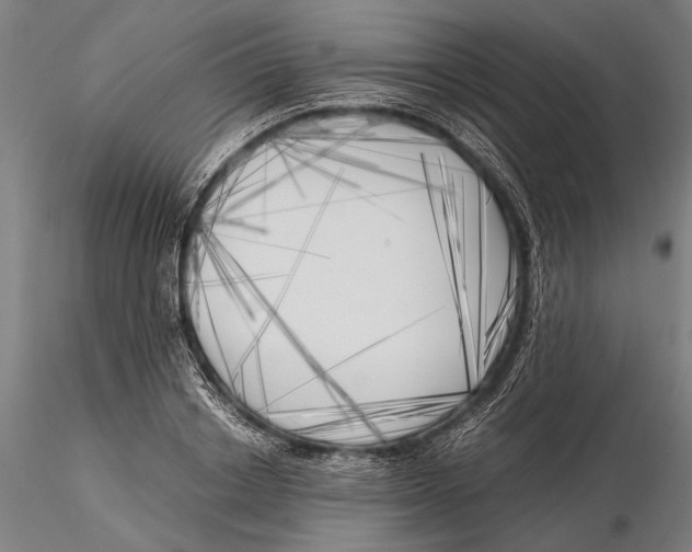X0000116050842200912111502