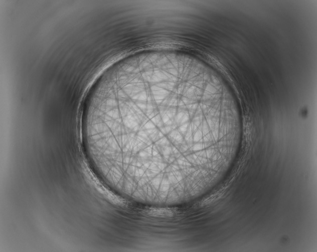 X0000116050843200912111502