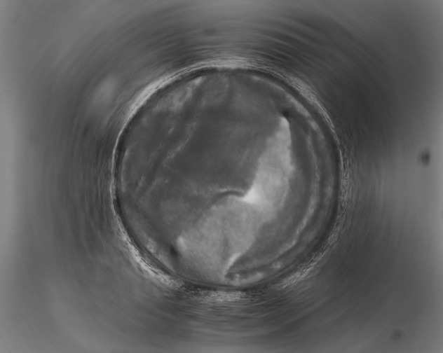 X0000116050845200912111502