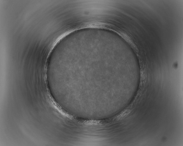 X0000116050846200912111502