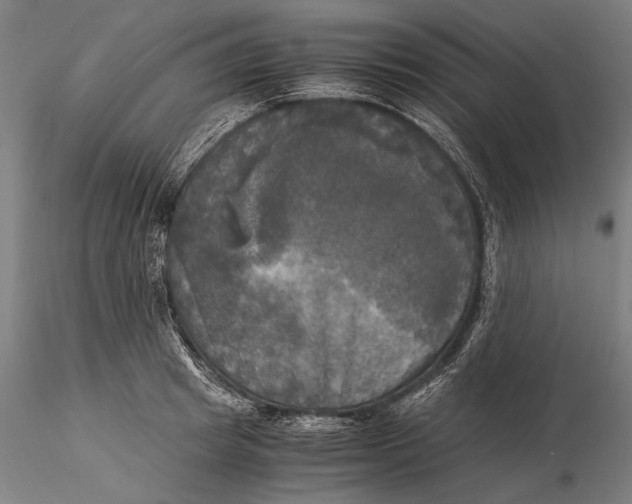 X0000116050849200912111502