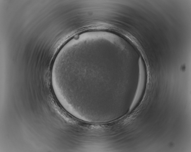 X0000116050850200912111502