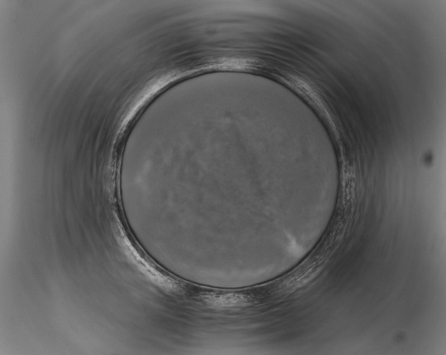 X0000116050851200912111502