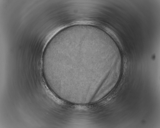 X0000116050852200912111502