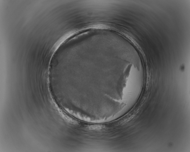 X0000116050853200912111502