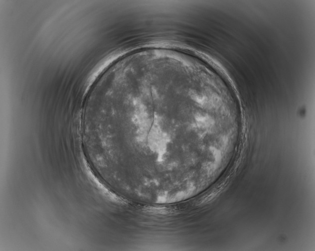 X0000116050855200912111502