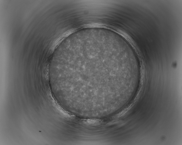 X0000116050857200912111502