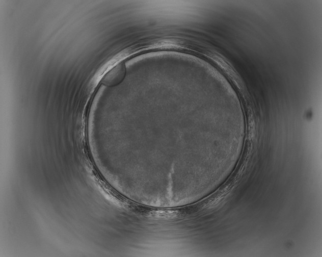 X0000116050858200912111502