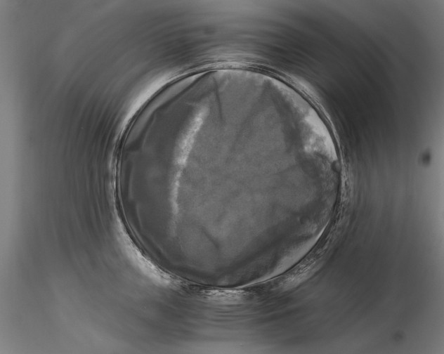 X0000116050859200912111502