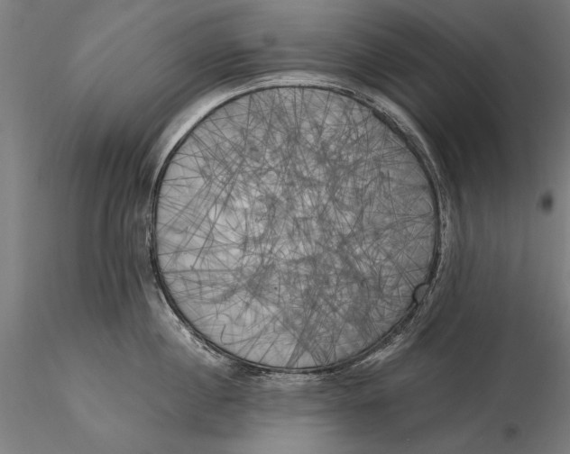 X0000116050860200912111502