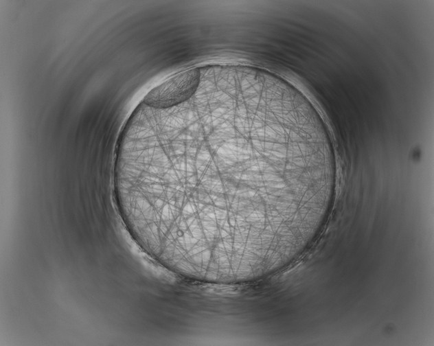 X0000116050861200912111502