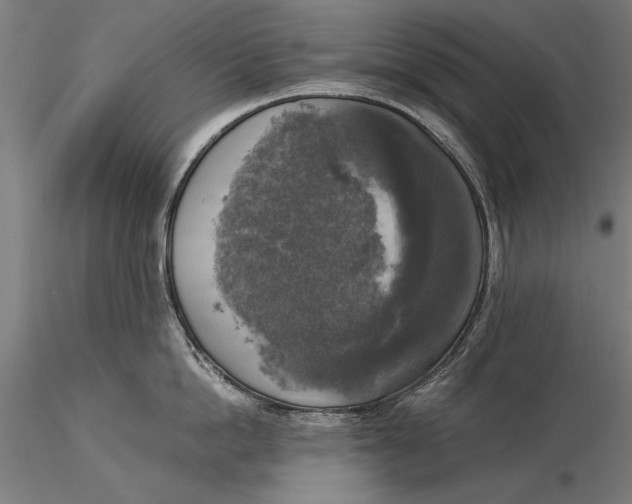 X0000116050862200912111502