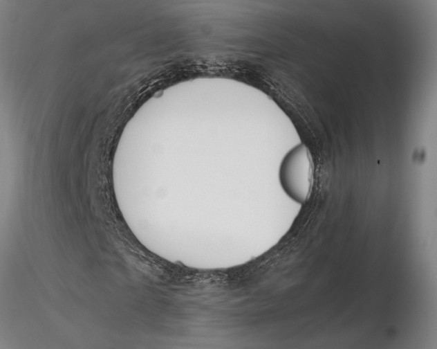 X0000116050865200912111502