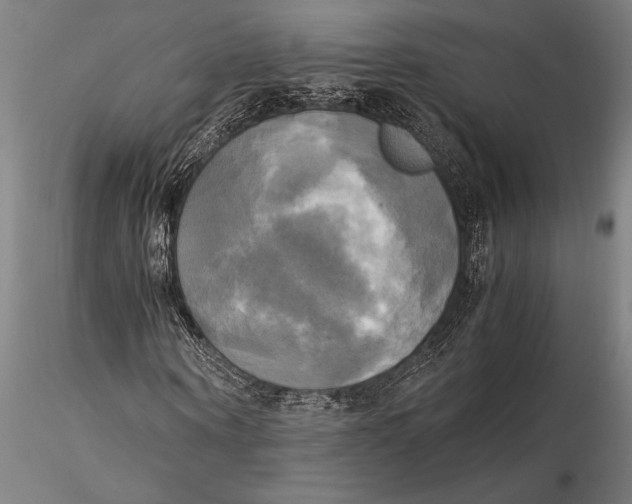 X0000116050866200912111501