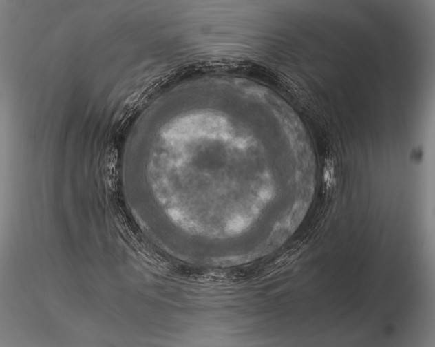 X0000116050867200912111501