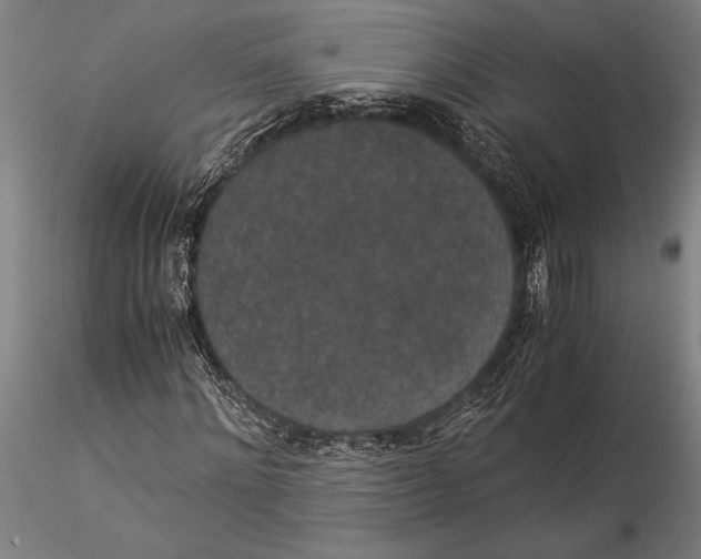 X0000116050868200912111501