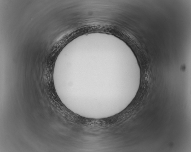 X0000116050869200912111501