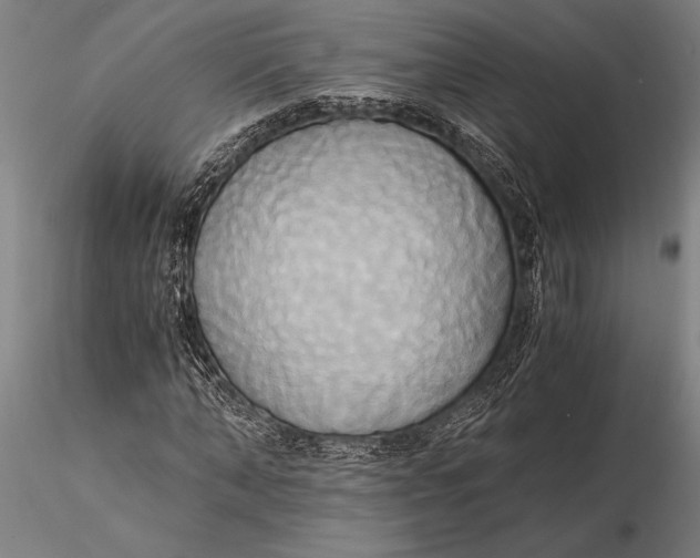 X0000116050870200912111501