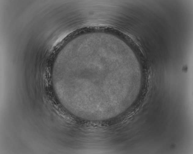 X0000116050871200912111501