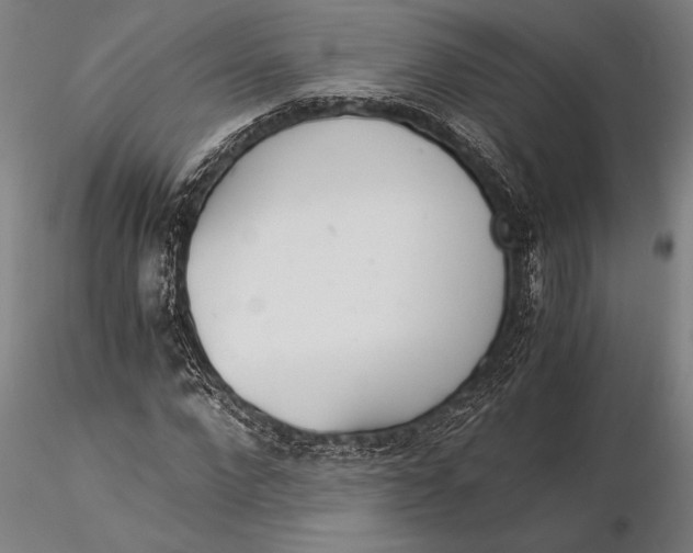 X0000116050872200912111501