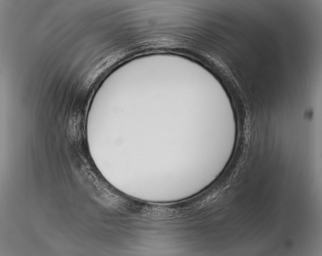 X0000116050873200912111501