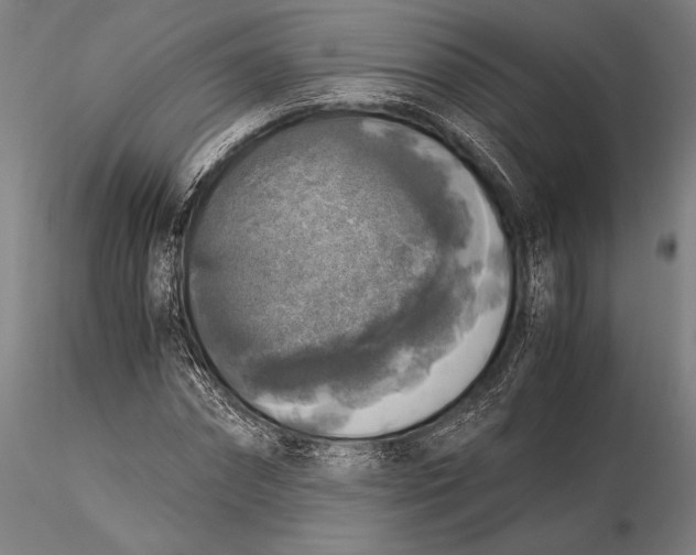 X0000116050874200912111501