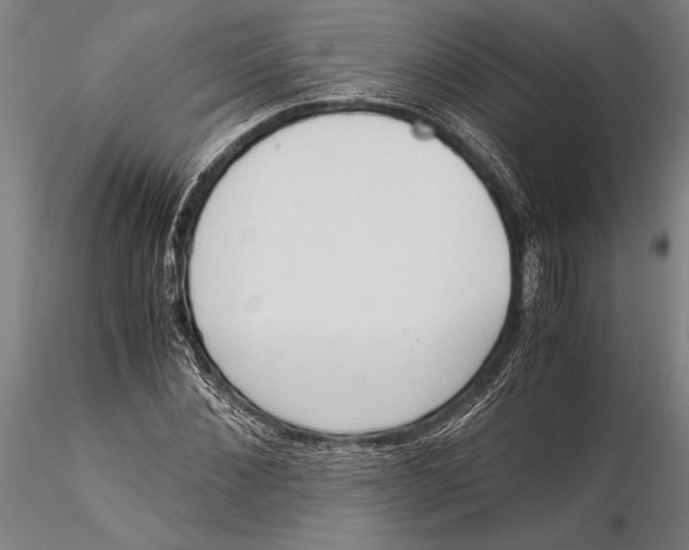 X0000116050876200912111501