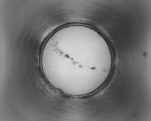 X0000116050877200912111501