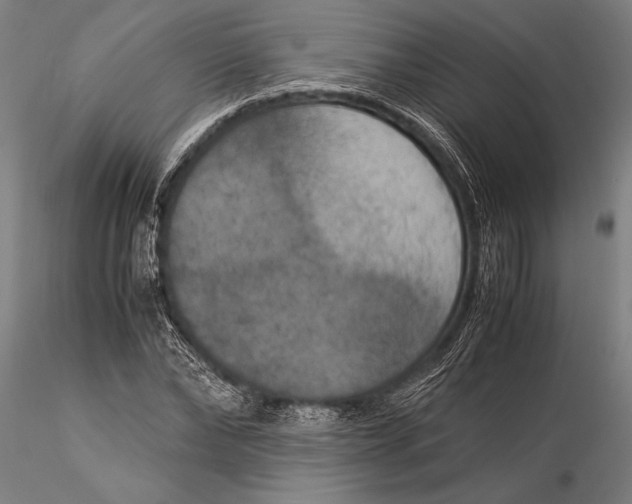 X0000116050878200912111501