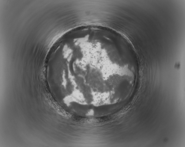 X0000116050879200912111501