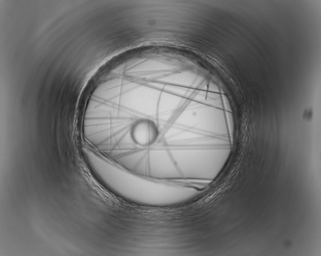X0000116050880200912111501