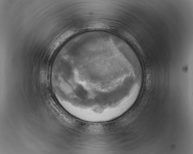 X0000116050882200912111501
