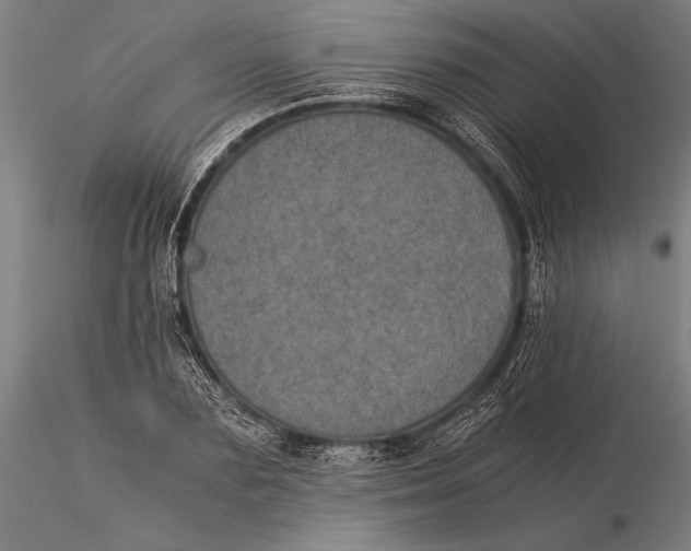 X0000116050883200912111501