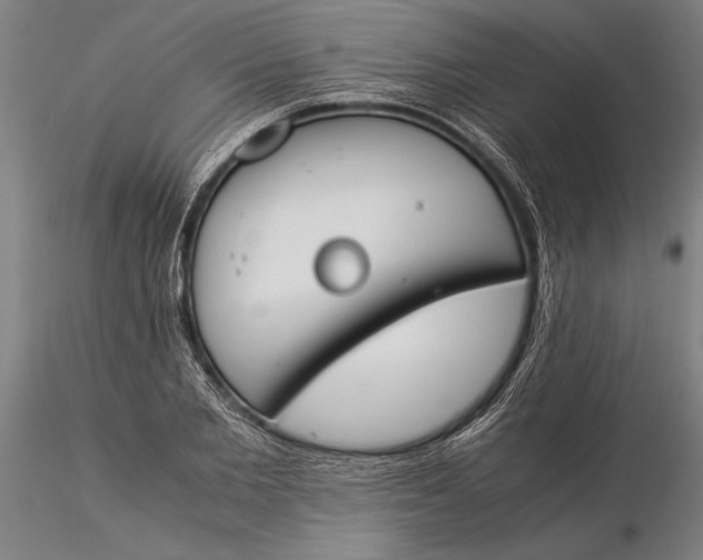X0000116050885200912111501
